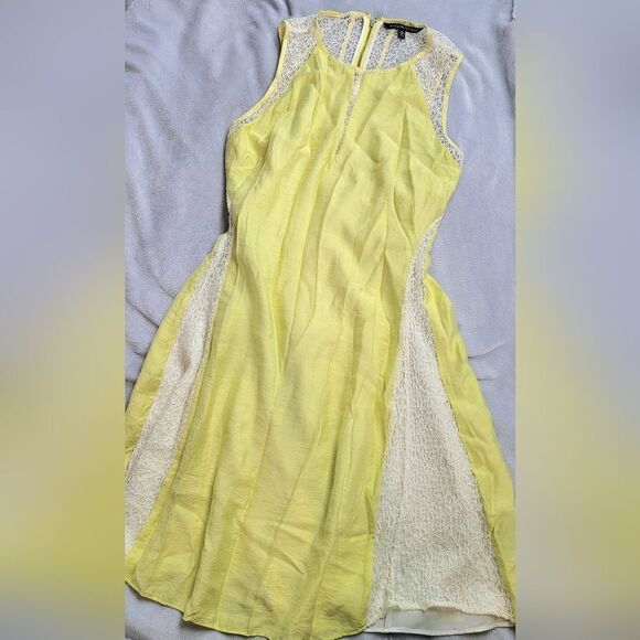 Walter Baker Sleeveless Lace Dress - Picture 2 of 6